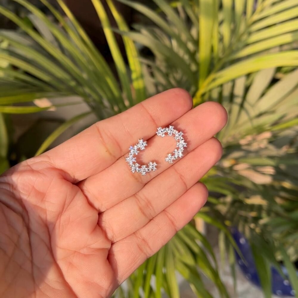 VideoCapture_20250319-180412